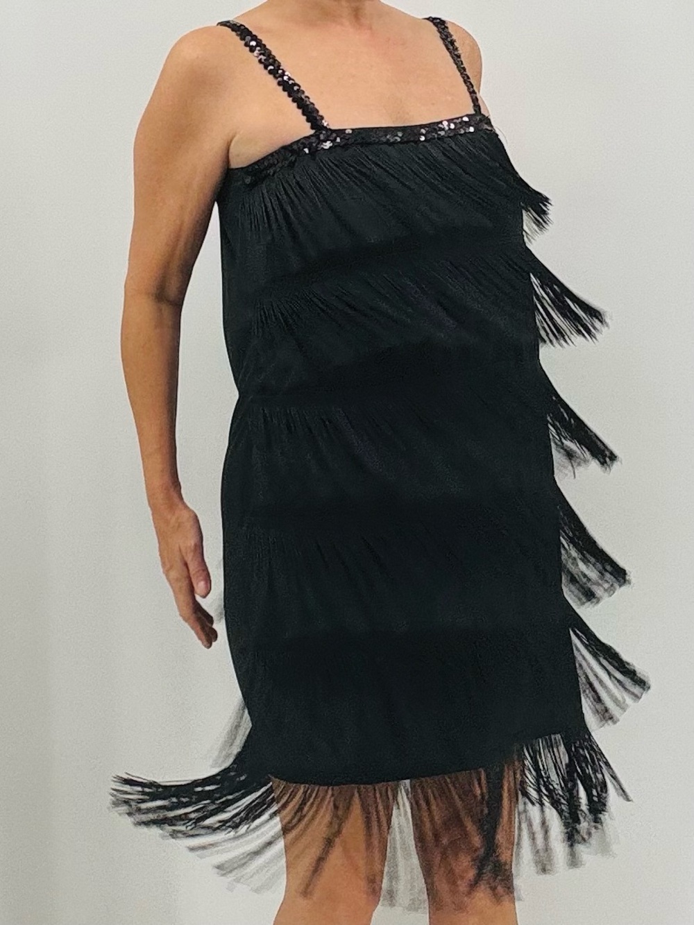 Vintage Women’s Roaring 20s Great Gatsby Fringe Flapper Dress Halloween Costume